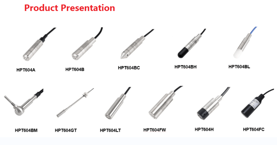 submersible pressure transducer presentation