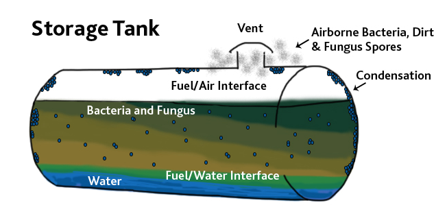 Water in Fuel sensor