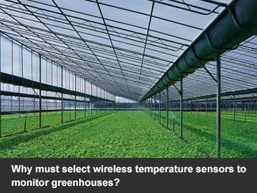 Why select wireless temperature sensors to monitor greenhouses?