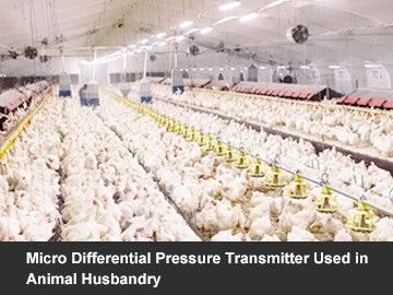 Micro Differential Pressure Transmitter Used in Animal Husbandry