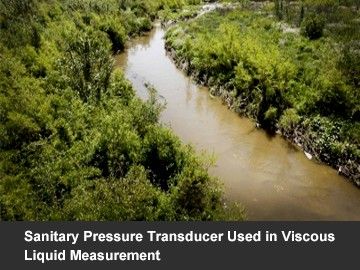 Sanitary Pressure Transducer Used in Viscous Liquid Measurement