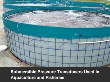 Submersible Pressure Transducers Used in Aquaculture and Fisheries