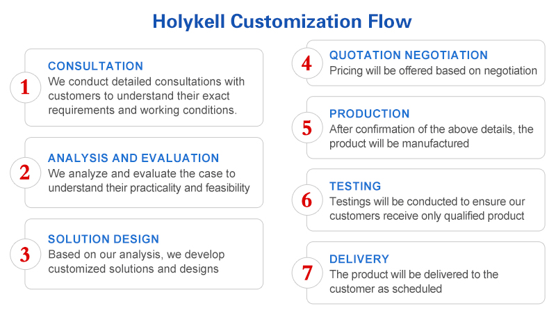 Exploring Holykell Customization Service-Holykell-Measuring Instrument