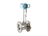 Vortex Flow Meter